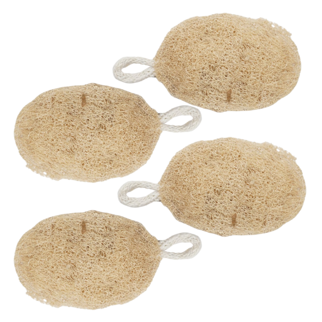 Natural Ridge Gourd Loofah