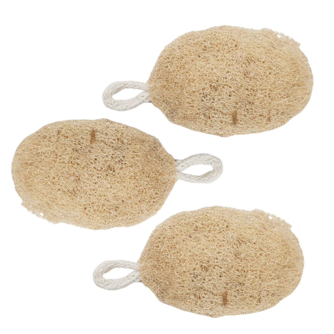 Natural Ridge Gourd Loofah