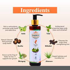 Rijuh’s Aloevera Herbal Shampoo 200 ml
